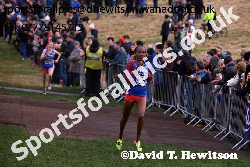 Senior womens Great Edinburgh Cross Country, 2017 Great Edinburgh Cross Country. Photo: David T. Hewitson/Sports for All PIcs